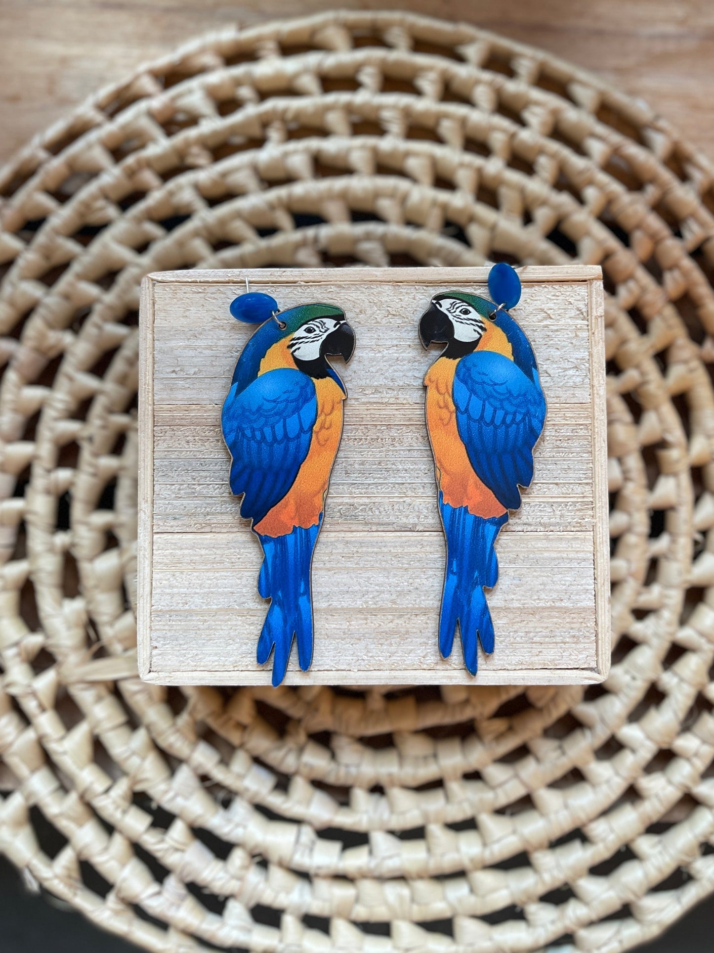 Brinco Arara Canindé