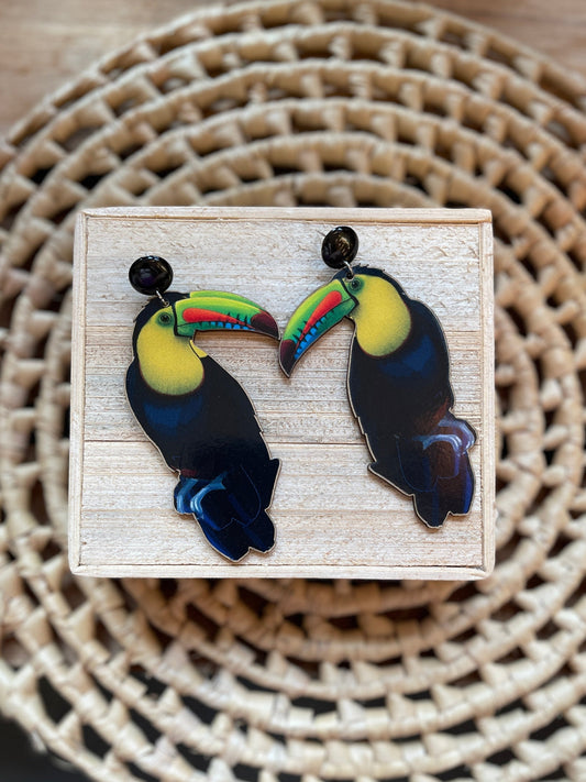 Brinco Tucano-Toco