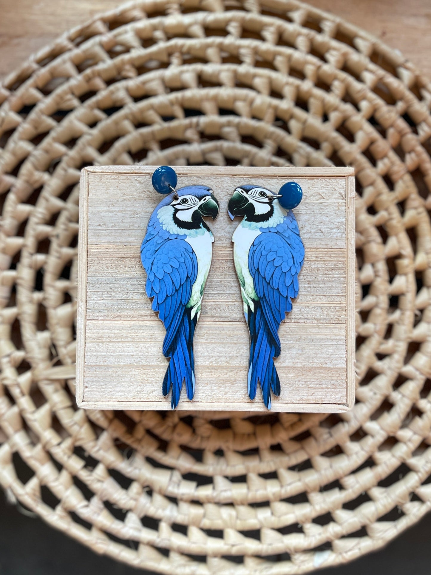 Brinco Arara Azul