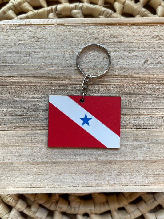 Chaveiro Bandeira do Pará